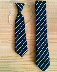 Fast Look School Tie
